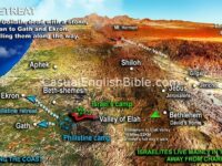 17-1-Samuel-battle-of-elah-copyright-stephen-m-miller-1000px-ver-2