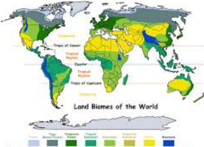 World Distribution - Chaparral Biome