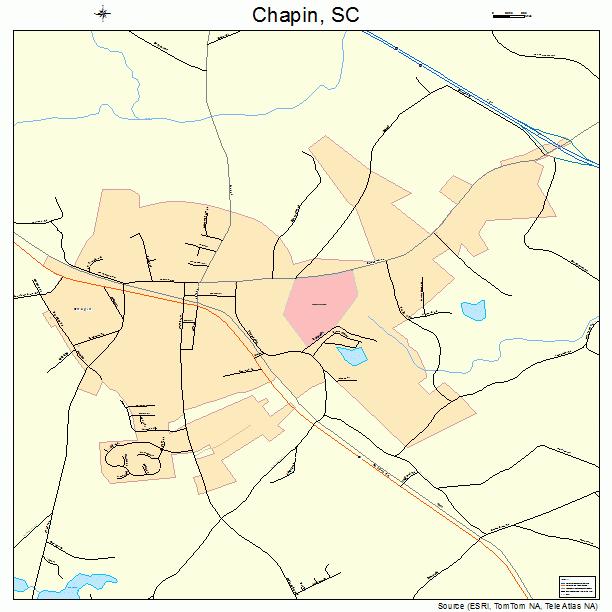 Chapin South Carolina Street Map